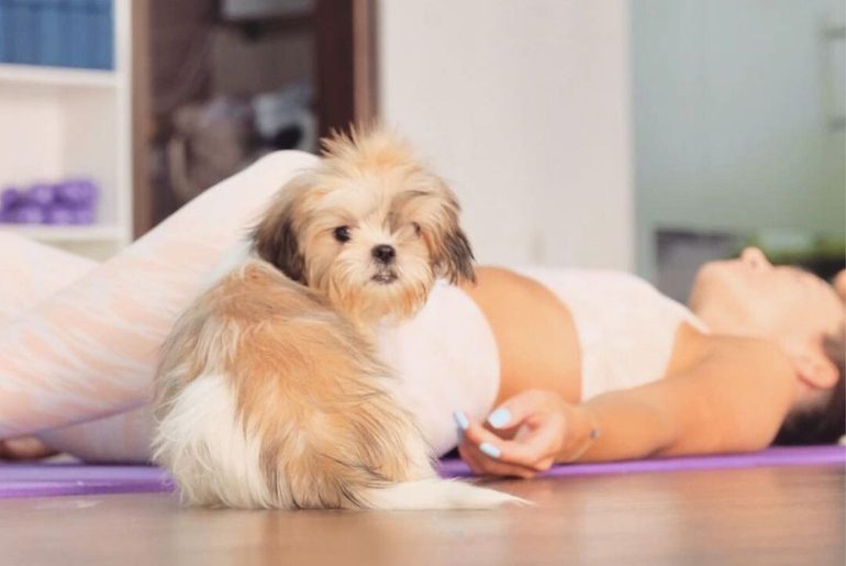 Puppy Yoga in Abu Dhabi