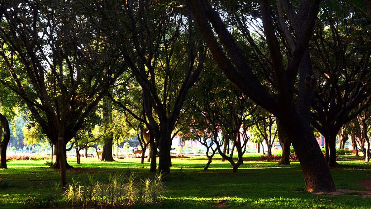 Bengaluru To Get Another Cubbon Park! Yelahanka To Have A New 153-Acre Park Aimed At Reviving City’s Green Cover