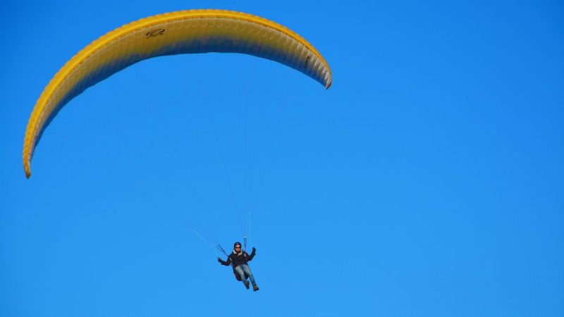 Paraglider Dies In Bir Billing