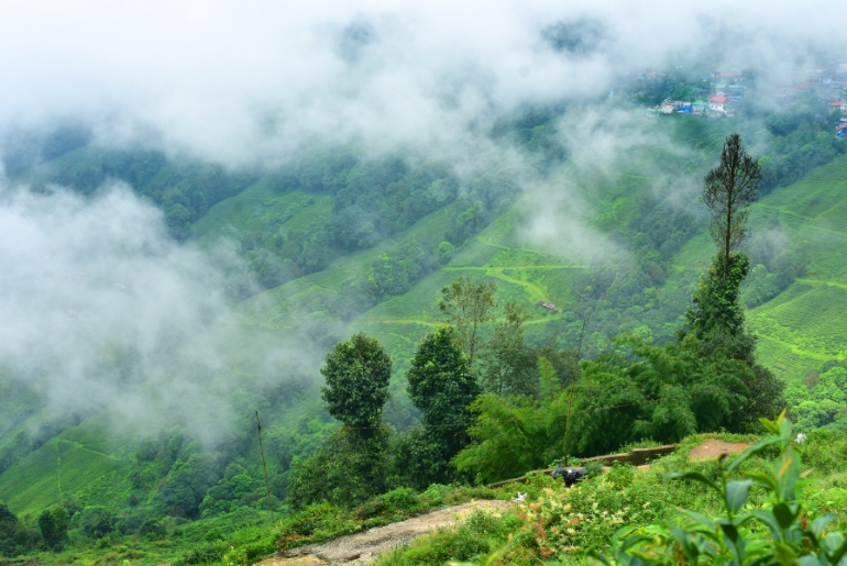 Darjeeling