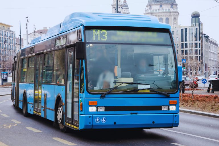 Diwali Buses