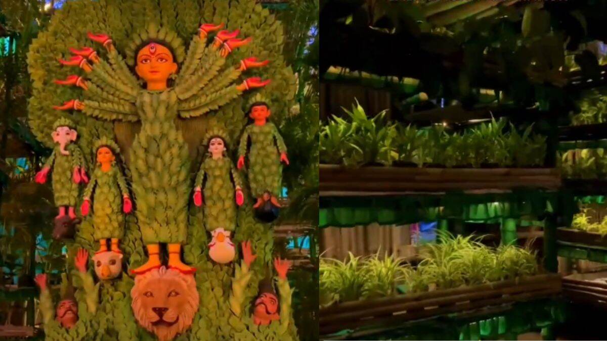 Durga Puja 2024: Featuring Over 8,000 Plants, Kolkata’s Lalabagan Nabankur Celebrates 65th Anniversary With Eco-Friendly Theme