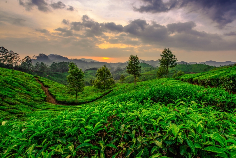 indian hillstations autumn