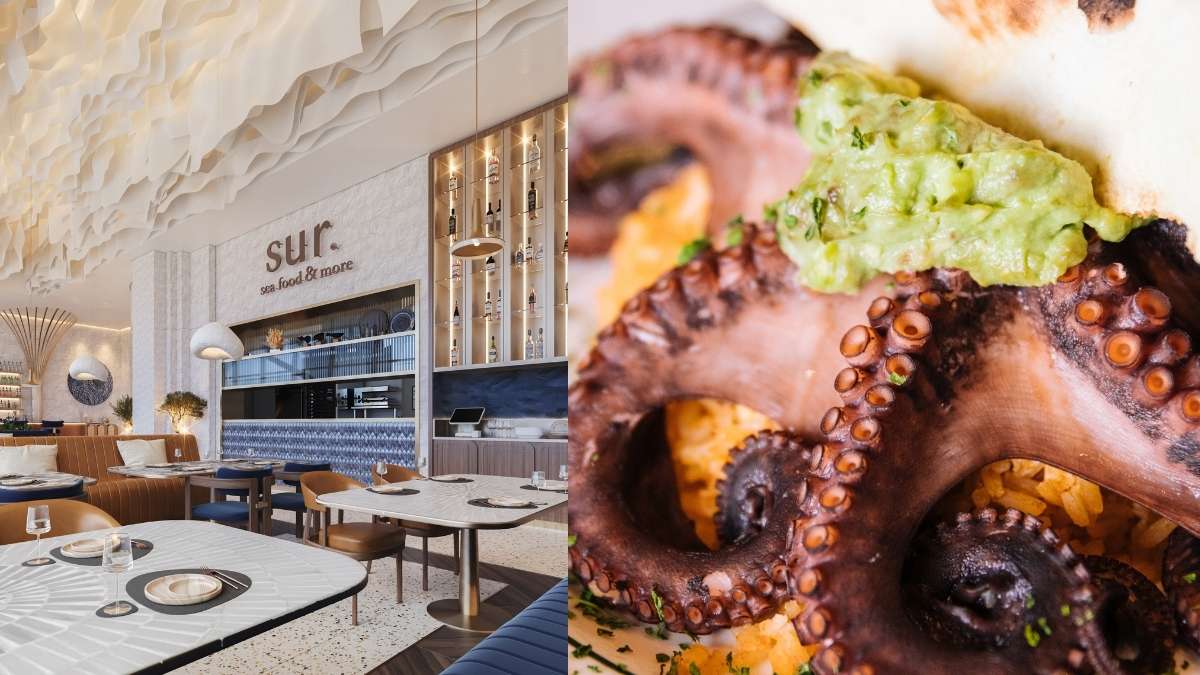 Dubai Is Getting A New Upscale Seafood Haven! Make Way To Sur.Dubai For Some Scrummy Coastal Delicacies