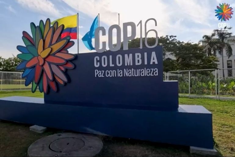 norway colombia cop16