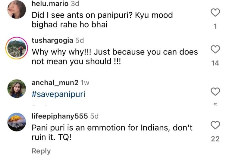 ants pani puri