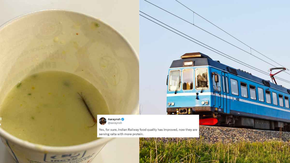 Passenger Finds Centipede In Meal Served At IRCTC’s VIP Lounge: Netizens Say, “Non-Veg Raita”