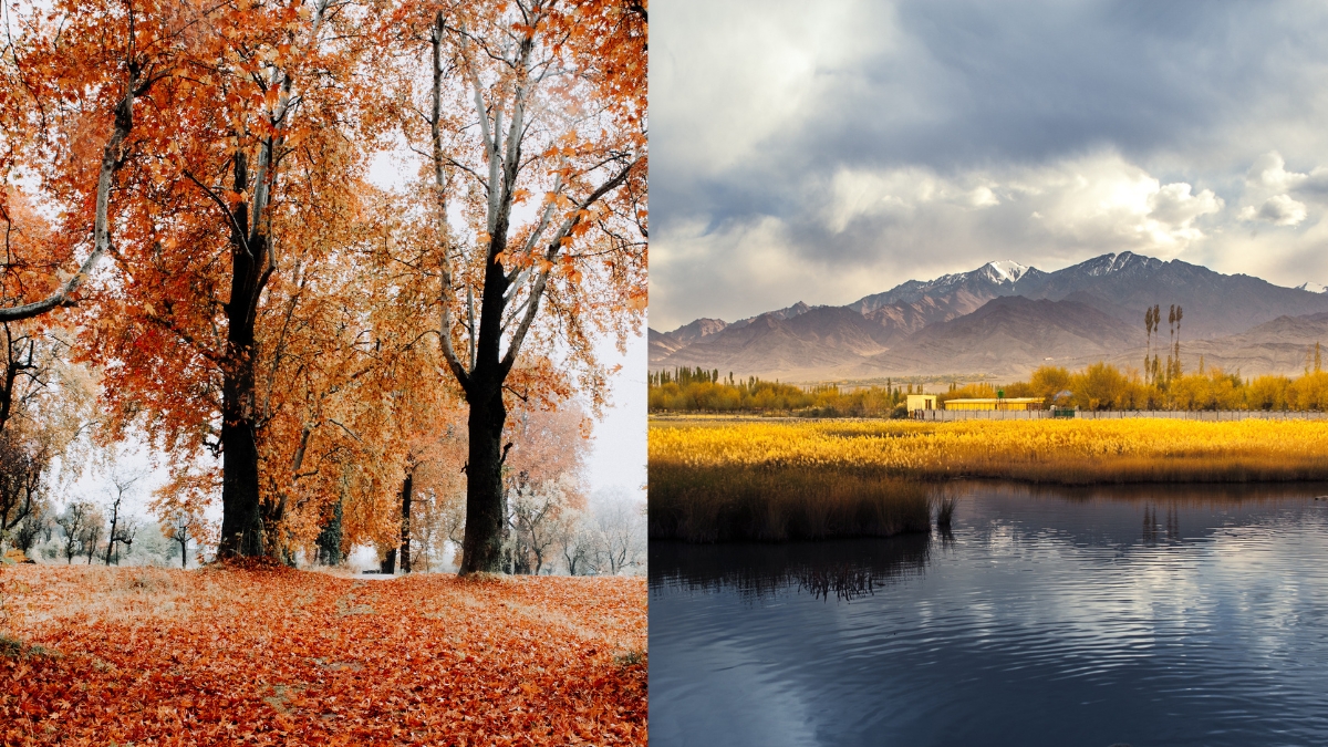 8 Hill Stations In India Where Autumn Views Are Dreamlike, Perfect For Leaf Peeping