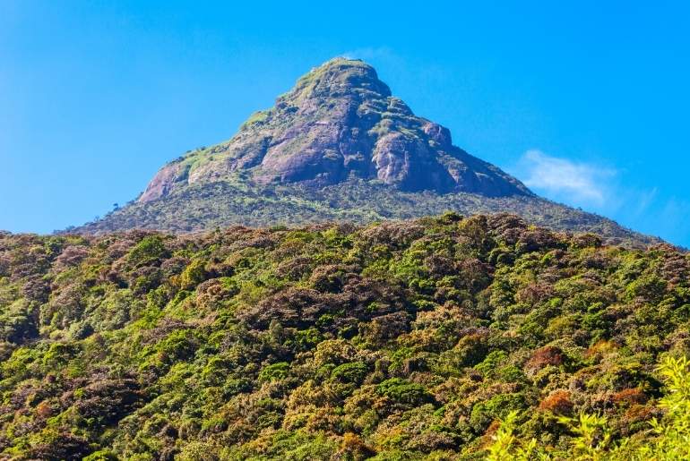 Adam's Peak In Sri Lanka