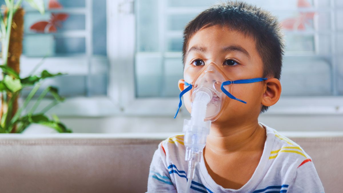 Delhi: Demand For Nebulisers & Air Purifiers Rise Alarmingly Due To Respiratory Issues & Diseases Triggered By Air Pollution