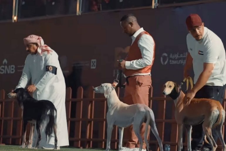 Dog show Saudi