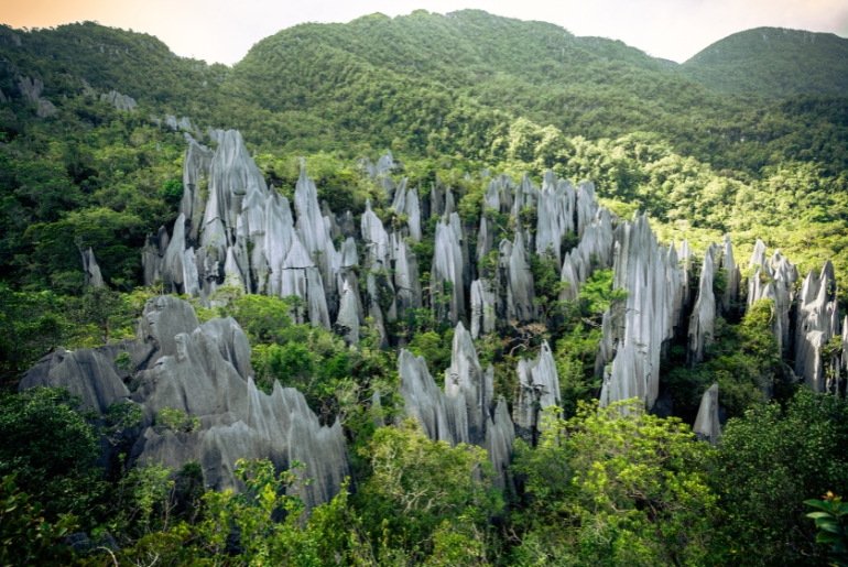 Gunung Mulu National Park