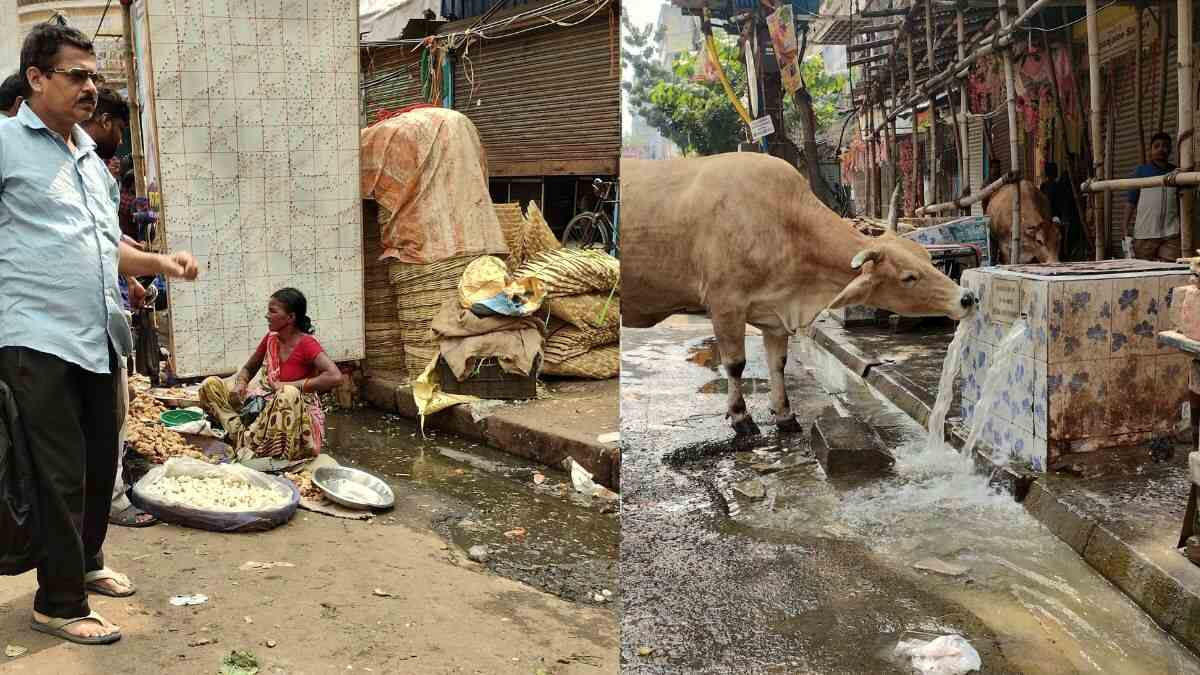 “Open Gutters, Urine Smell Everywhere,” X User Calls Kolkata The Dirtiest City In India; Netizens Agree With His Claims