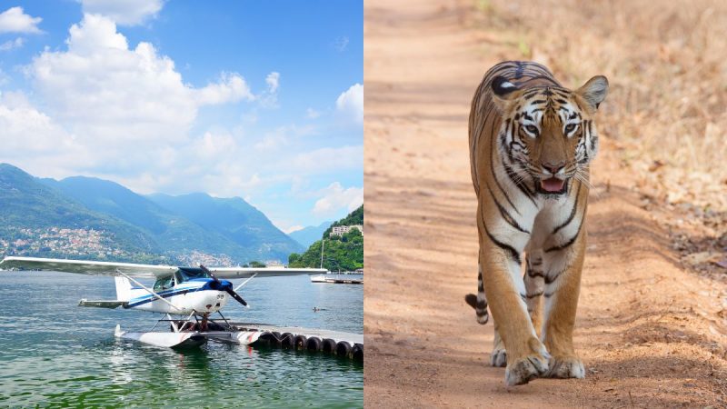 seaplane Tadoba Andhari Tiger Reserve