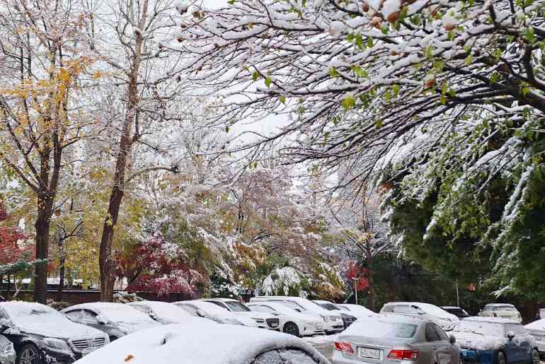 Seoul snowstorm 