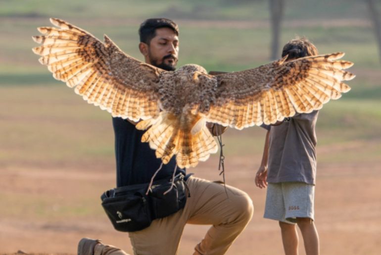 Falconary