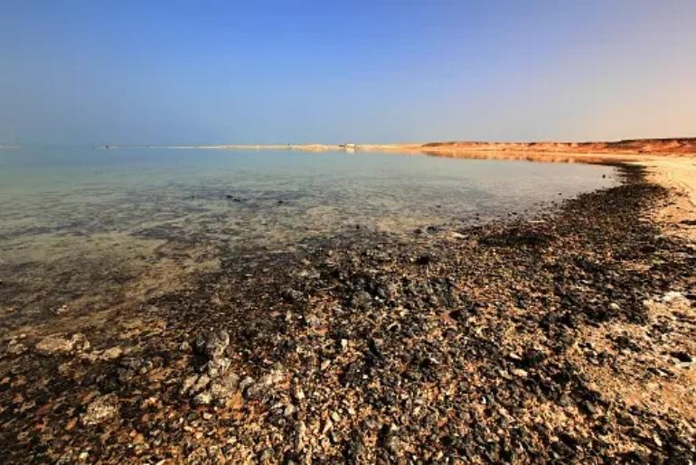 Zekreet Beach of Qatar, a lesser-known gem