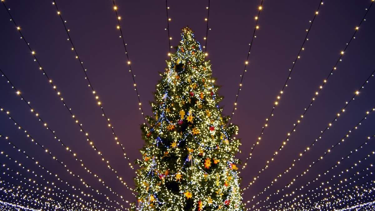 7 Christmas Tree Lighting Ceremonies To Attend In Dubai To Experience The Festive Vibes