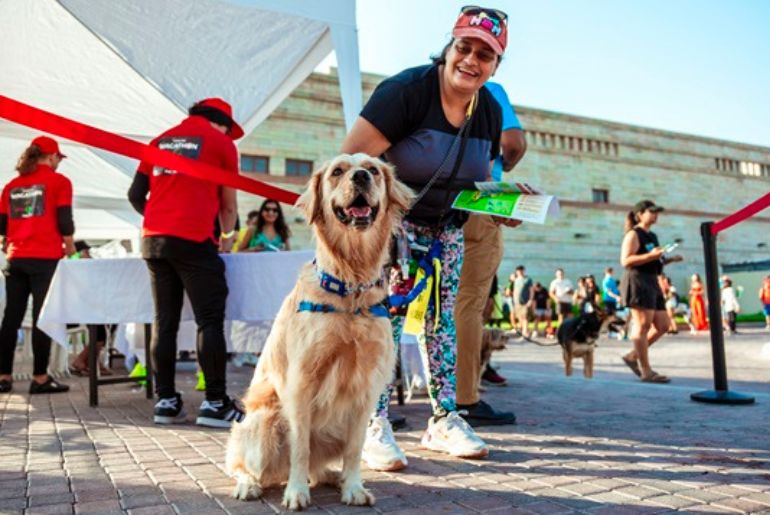 Pet Festival Dubai