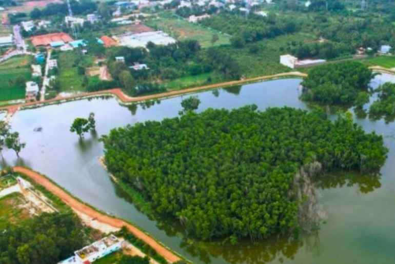 Doddagubbi Lake