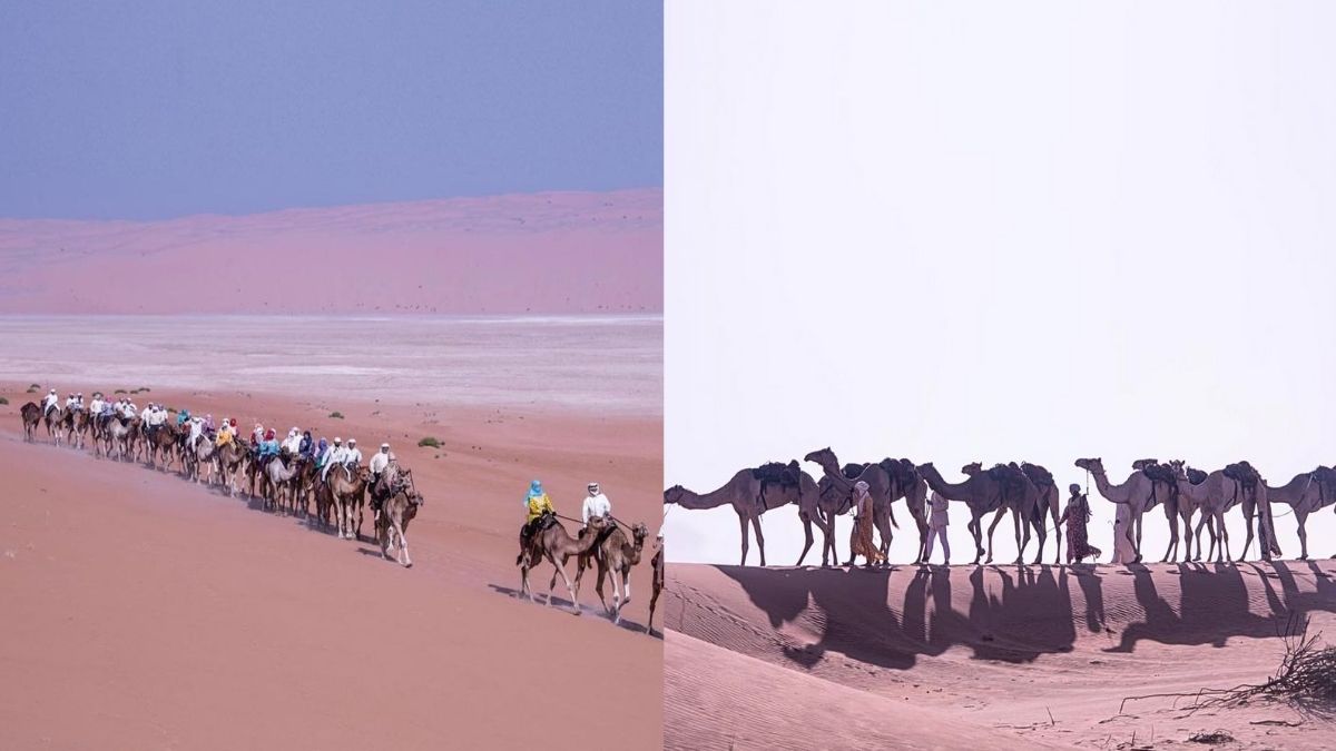 33 Camel Trekkers From 17 Countries Begin The Annual Camel Trek; Here’s All About Their 13-Day Trek