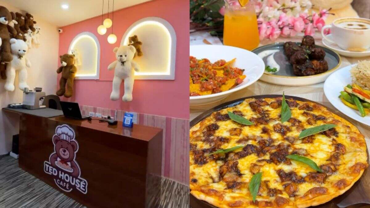 Decked With 83 Cute Soft Toys, Kolkata Welcomes Its 1st Teddy-Bear-Themed Cafe!