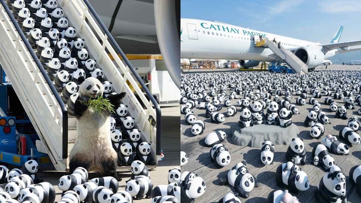 In Pics: Hong Kong Hosts Its Largest Panda-Themed Exhibition With 2,500 Panda Sculptures & It’s Cuteness Overload!