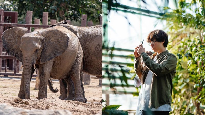 Mumbai Zoo