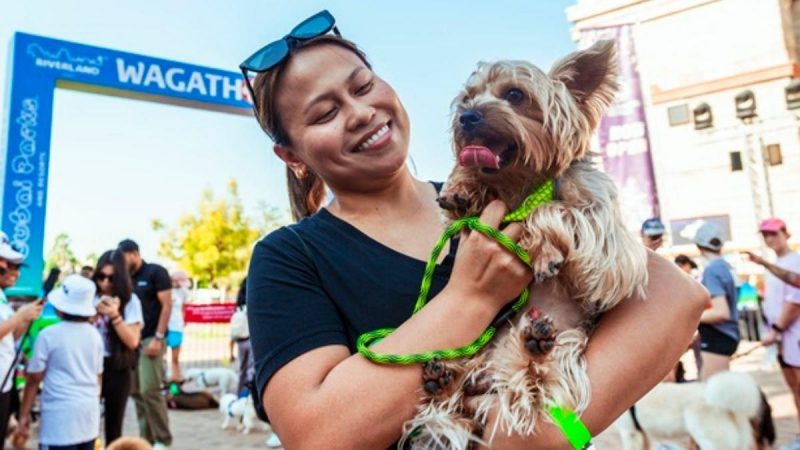 Dubai Pet Festival