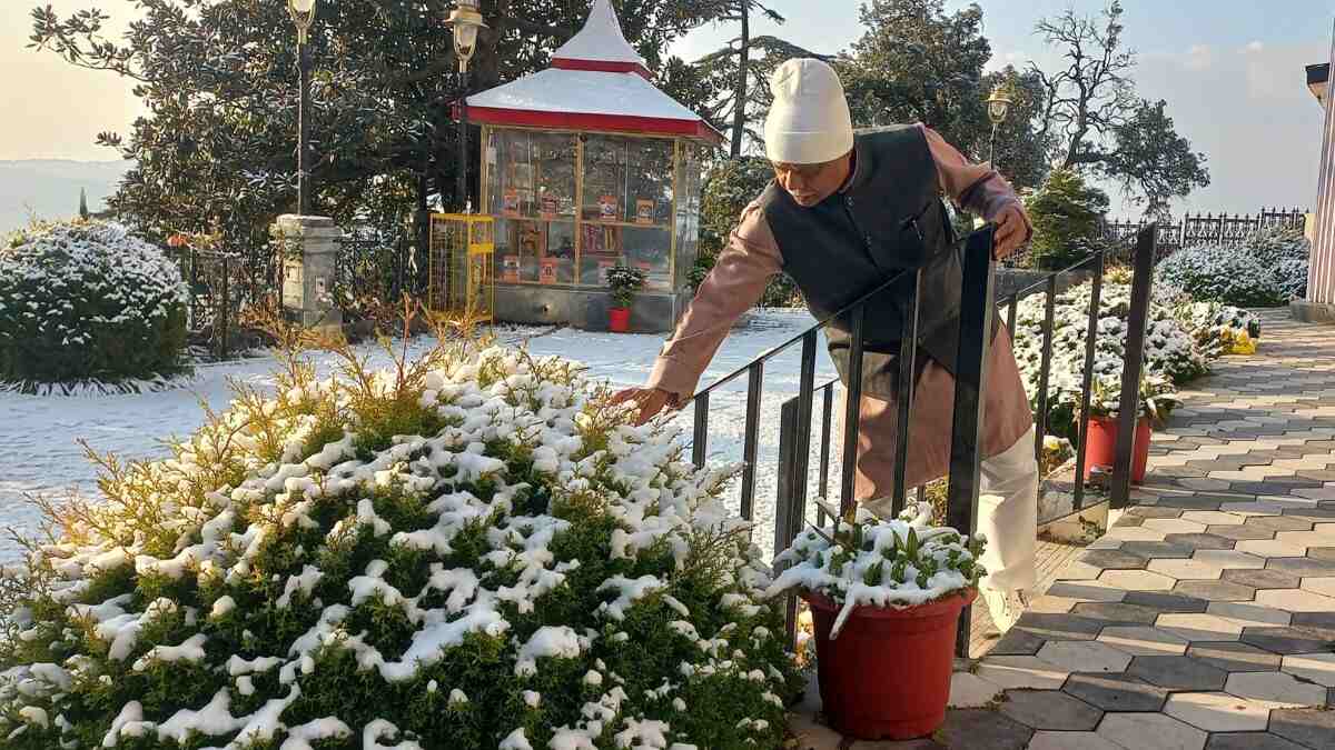 Shimla Receives This Winter Season’s First Snowfall; Tourists Excited To Witness Nature’s Snowy Bounty