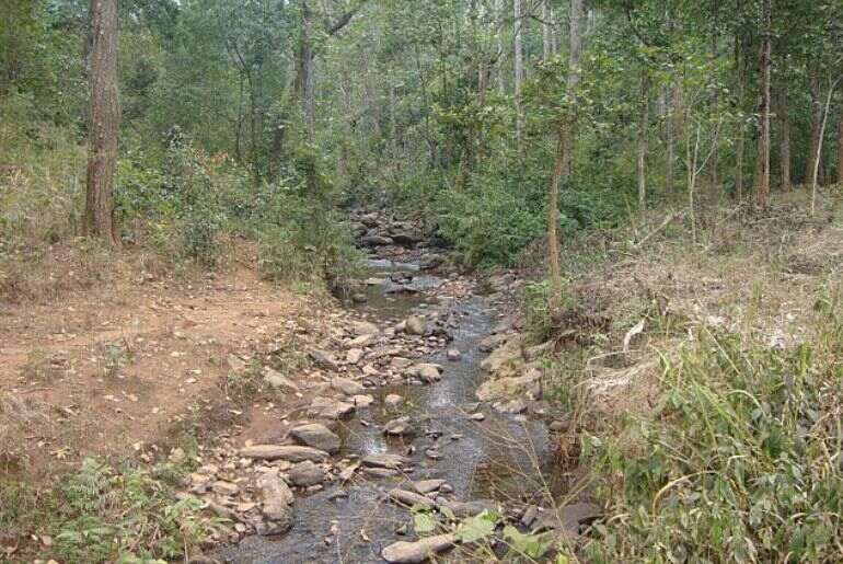 Connectivity To Similipal Forest Reserve