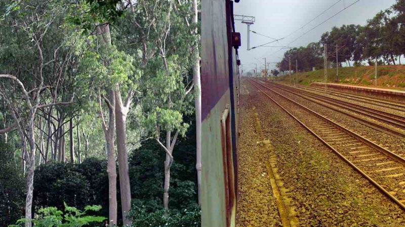 Connectivity To Similipal Forest Reserve