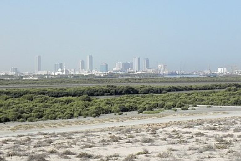 Umm Al Quwain Coast