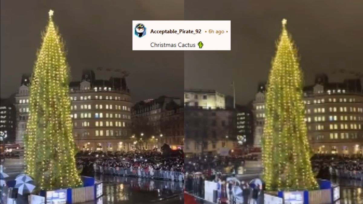 Watch: Christmas Tree Shaped Like A Corn On The Cob Lit Up In London; Disappointed Redditors Call It “Christmas Cactus”