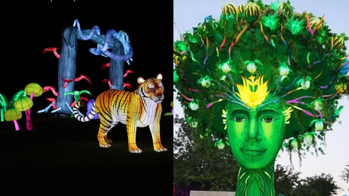 The Glowing Wonder Hills Festival Has Taken Over The Dareen Hills Park Till January & Here’s All About It