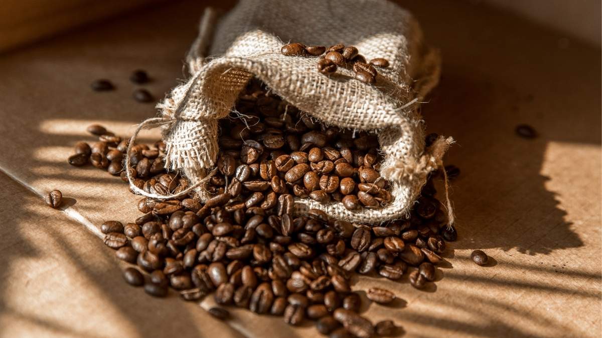 Dubai Will Host World Of Coffee 2025 With Rare Coffee Worth AED 36,777 Per KG!