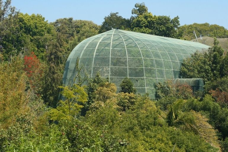 Mumbai bird park