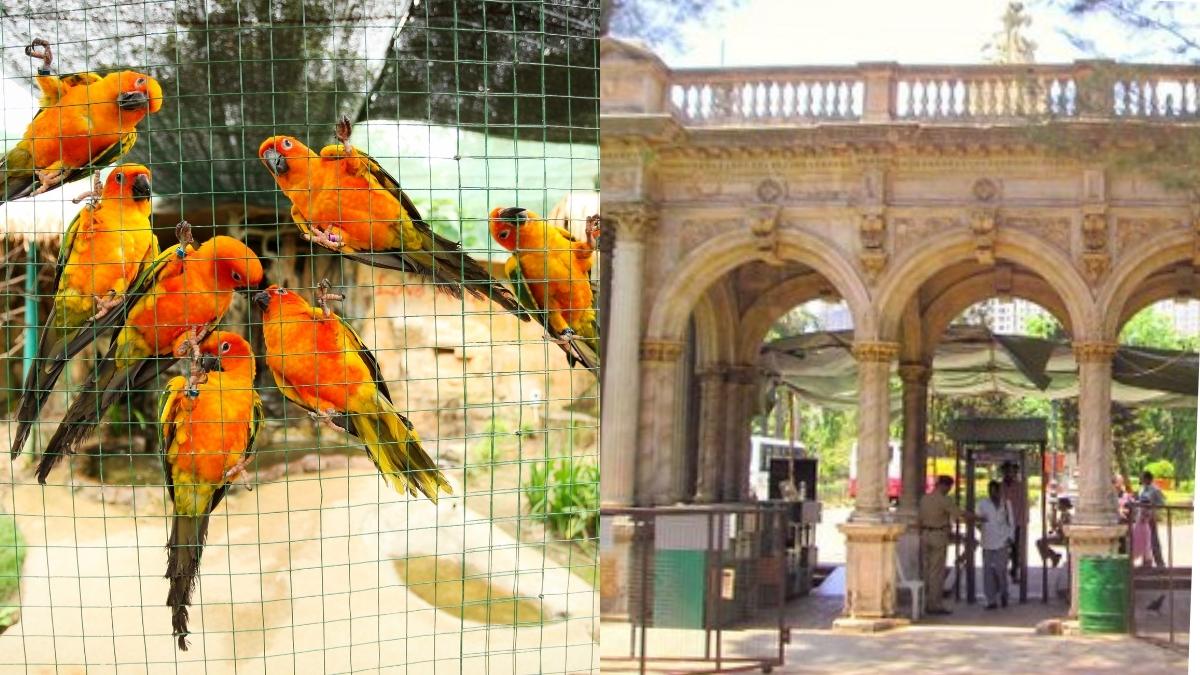 Mumbai To Get Its 1st Bird Park In Nahur; From Timeline To Bird Types, All You Need To Know About This ₹100 Crore Project