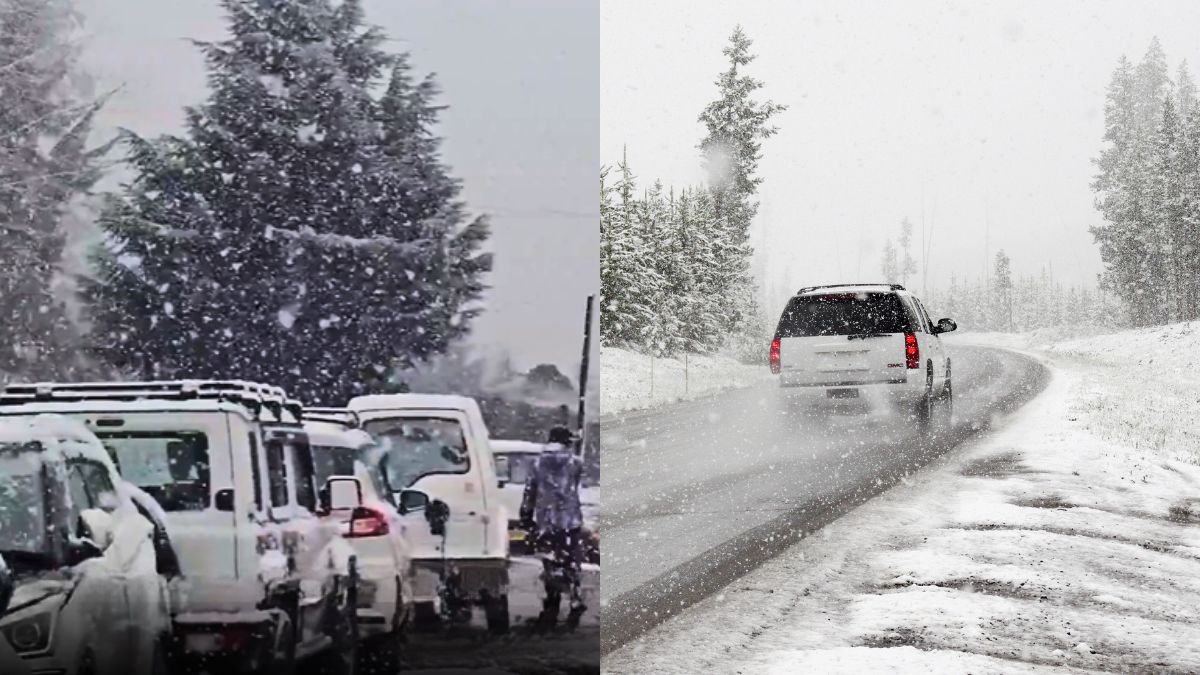 Manali Snowstorm: 1,000 Vehicles Stranded Between Solang & Atal Tunnel; 700 Tourists Relocated To Safe Locations