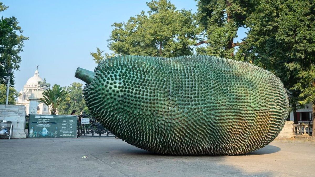 Why Is There A Giant Jackfruit Weighing 7000 kg Placed In Front Of The Iconic Victoria Memorial In Kolkata?