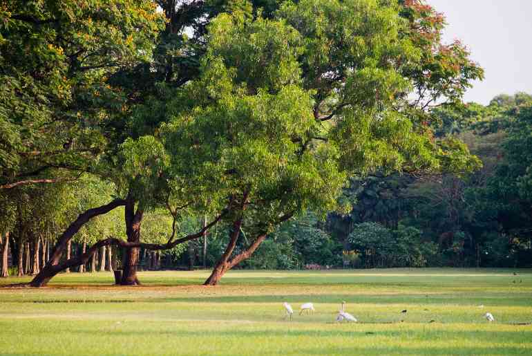 Mulund Bird Park