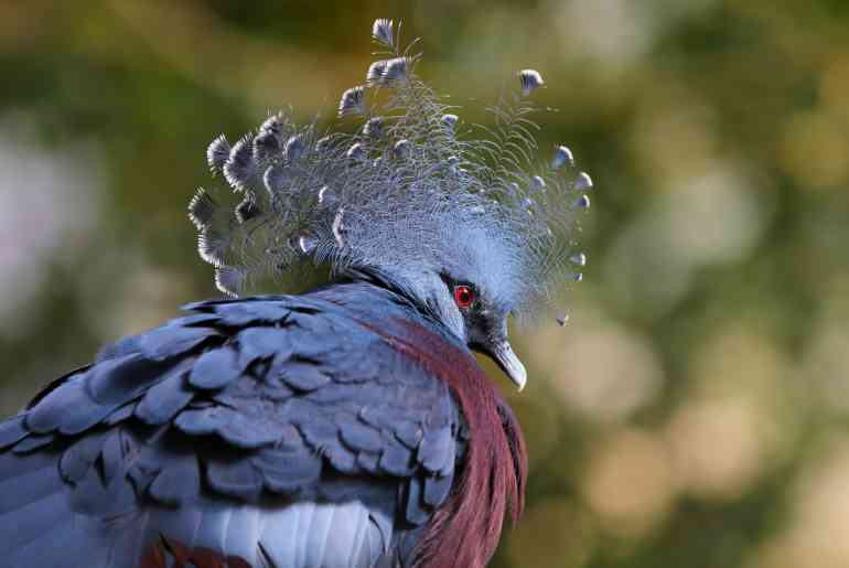 Mulund Bird Park