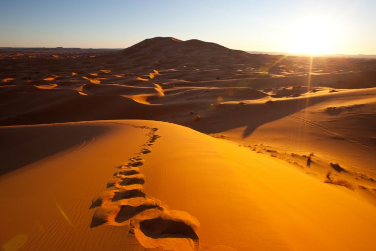 Sand Surfing In The Desert