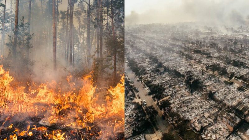 Los Angeles wildfires