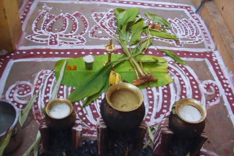 Pongal 2025 From Dates To Significance, All You Need To Know About