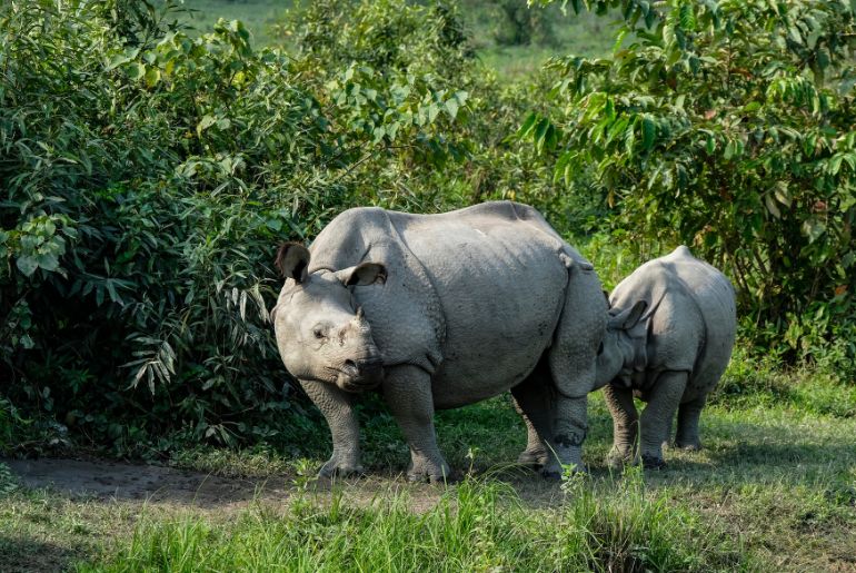 Bodoland India’s Untouched Land