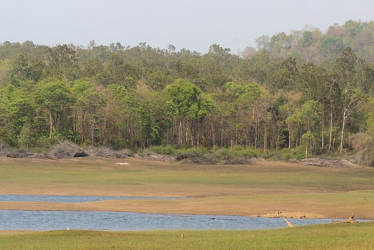 Chikkamagaluru