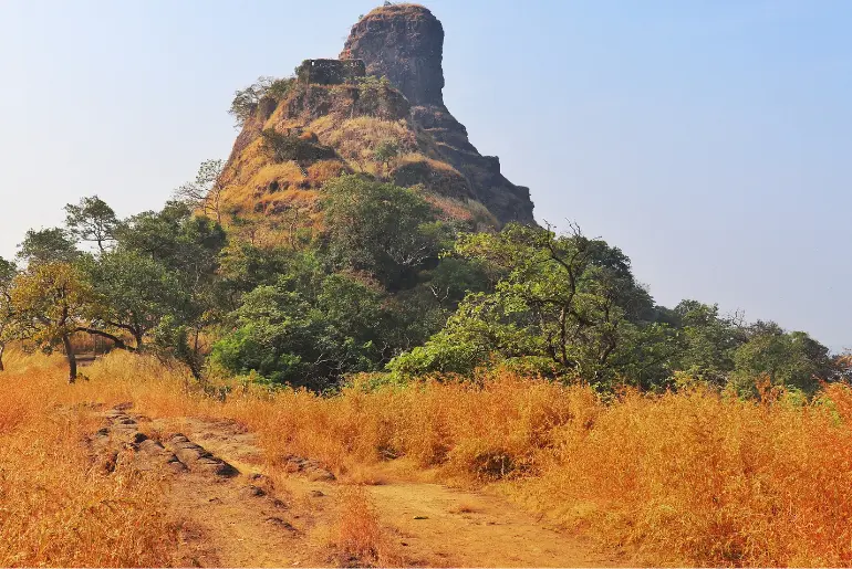 Karnala fort