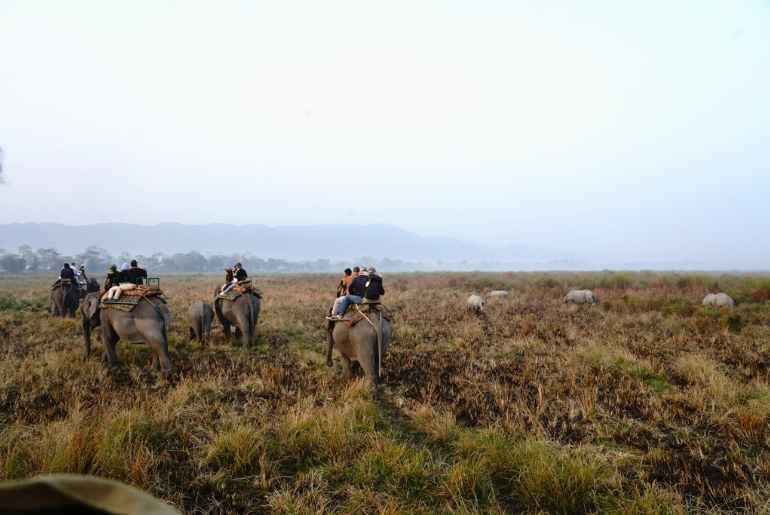 Kaziranga National Park