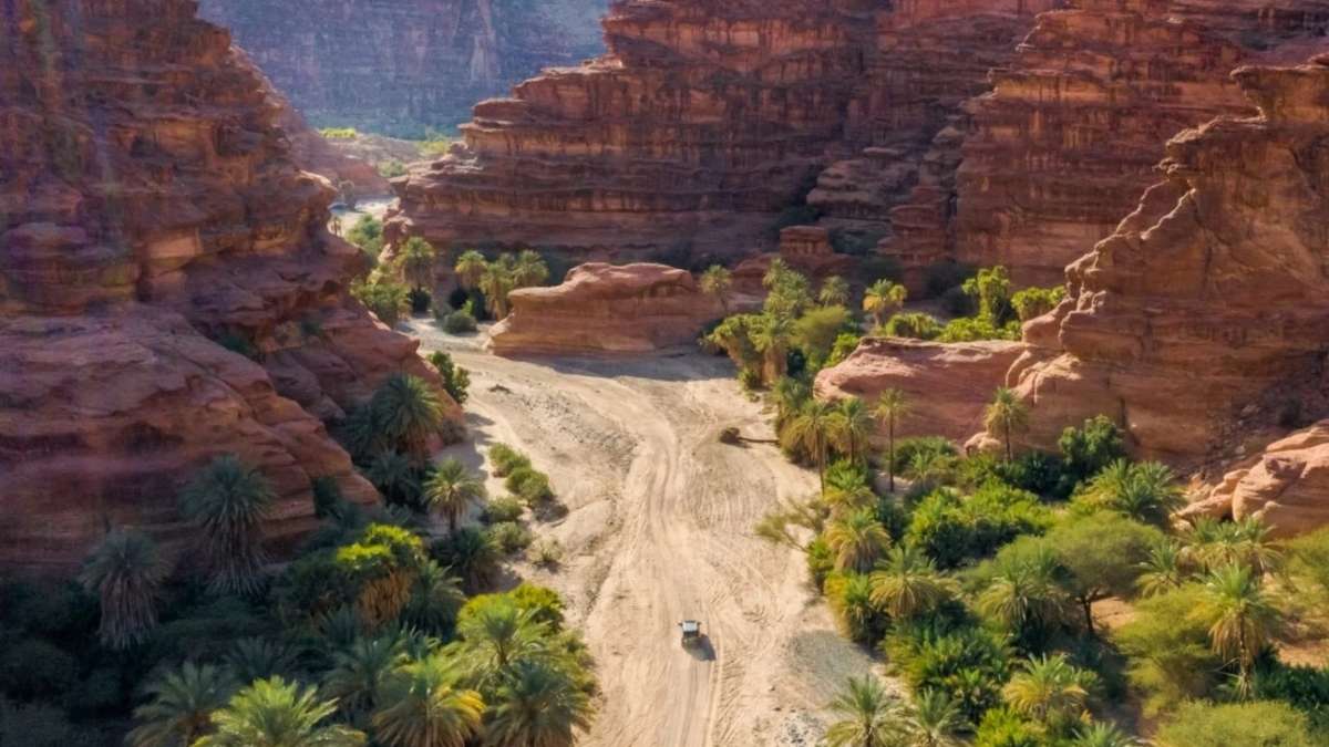 Saudi Arabia Has A Hidden Gem, ‘Wadi Al Disah’ That’s A Paradise Of Majestic Cliffs, Lush Oasis & Adventure!